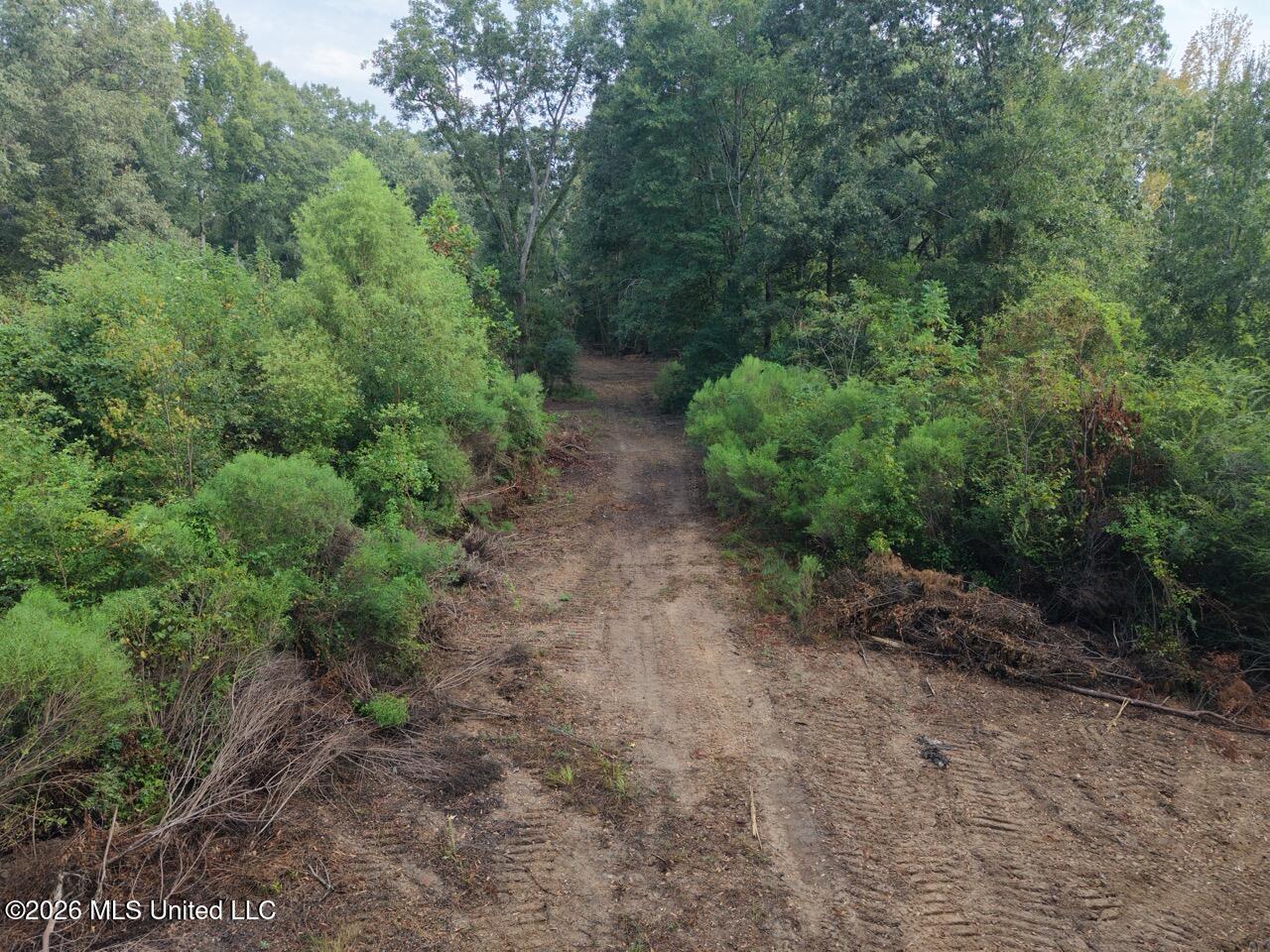 1154 Old Highway 33 Property Photo 2