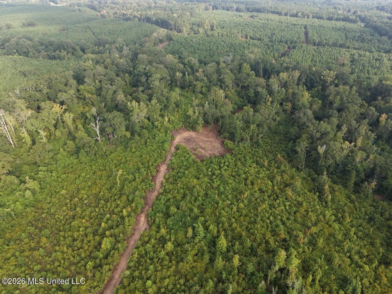 1154 Old Highway 33 Property Photo 5