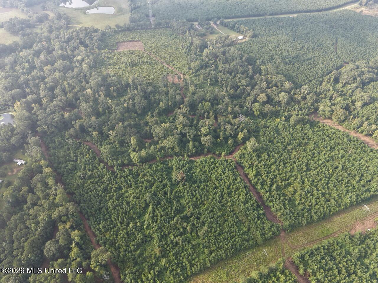 1154 Old Highway 33 Property Photo 7