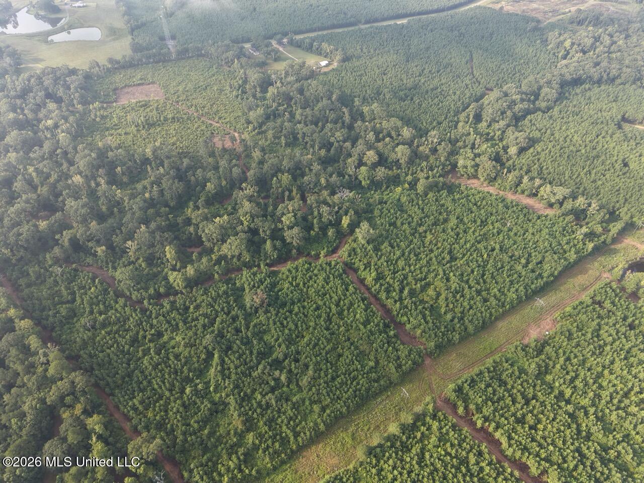 1154 Old Highway 33 Property Photo 8