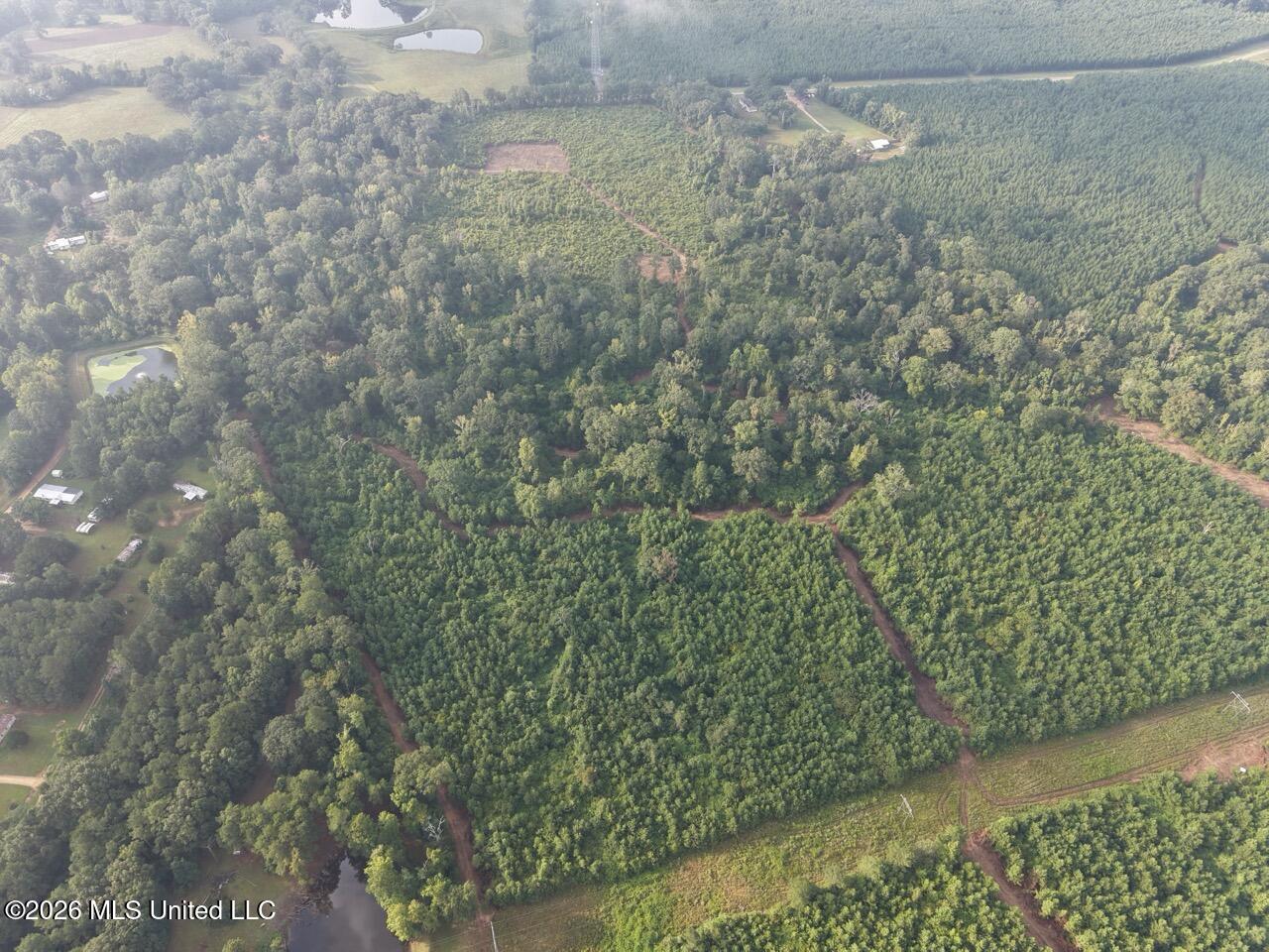 1154 Old Highway 33 Property Photo 9
