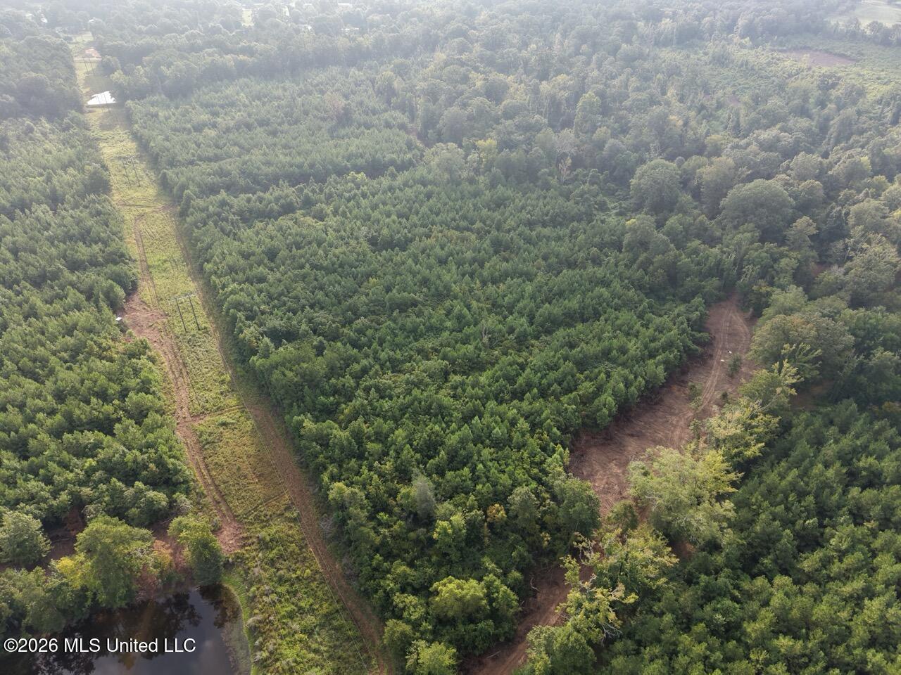 1154 Old Highway 33 Property Photo 10