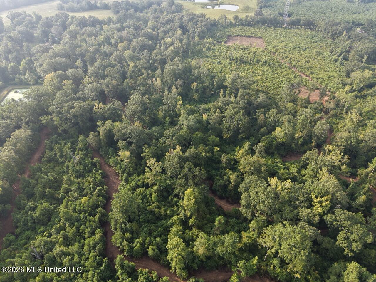 1154 Old Highway 33 Property Photo 13