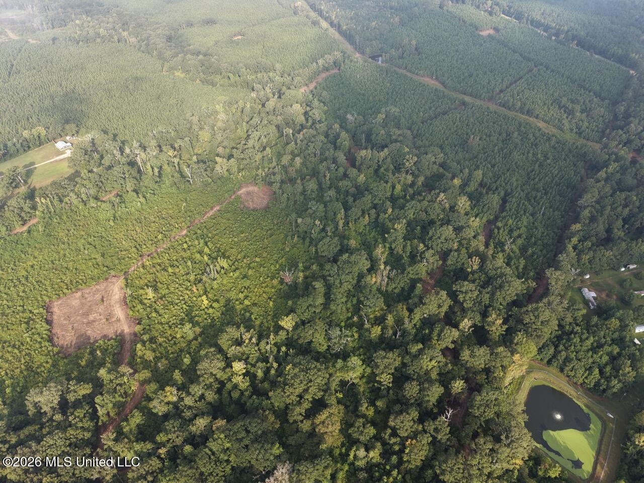 1154 Old Highway 33 Property Photo 15