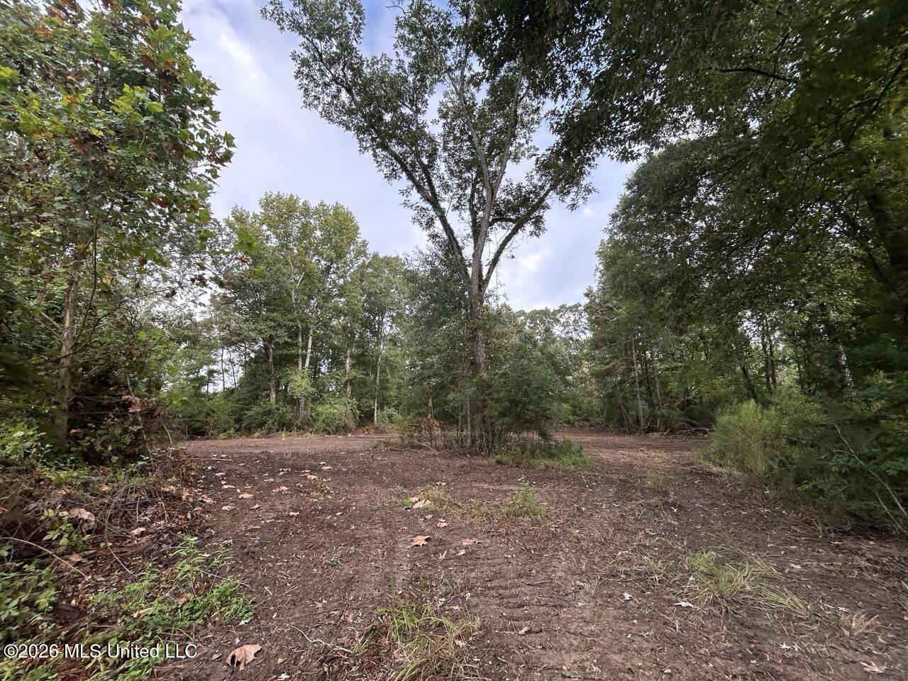 1154 Old Highway 33 Property Photo 17