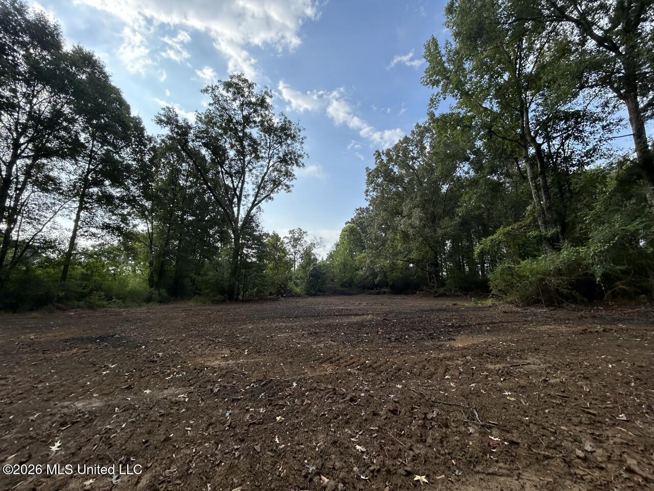 1154 Old Highway 33 Property Photo 18
