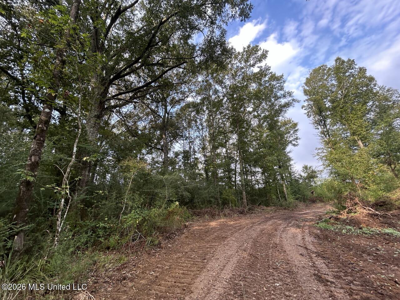 1154 Old Highway 33 Property Photo 20