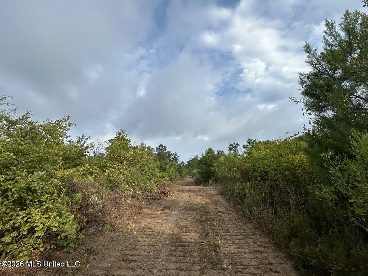 1154 Old Highway 33 Property Photo 23