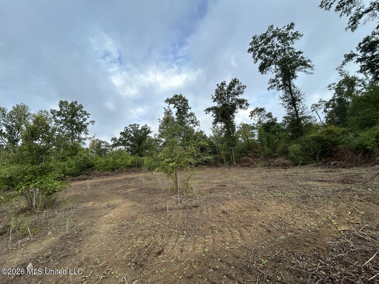 1154 Old Highway 33 Property Photo 25