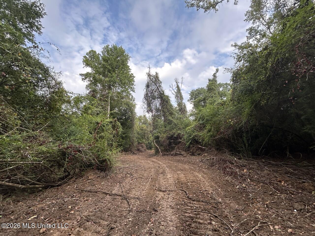 1154 Old Highway 33 Property Photo 26