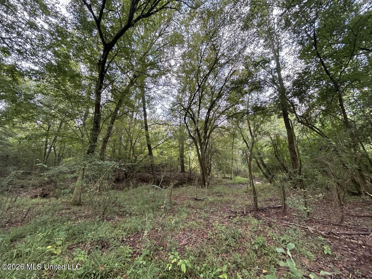 1154 Old Highway 33 Property Photo 28