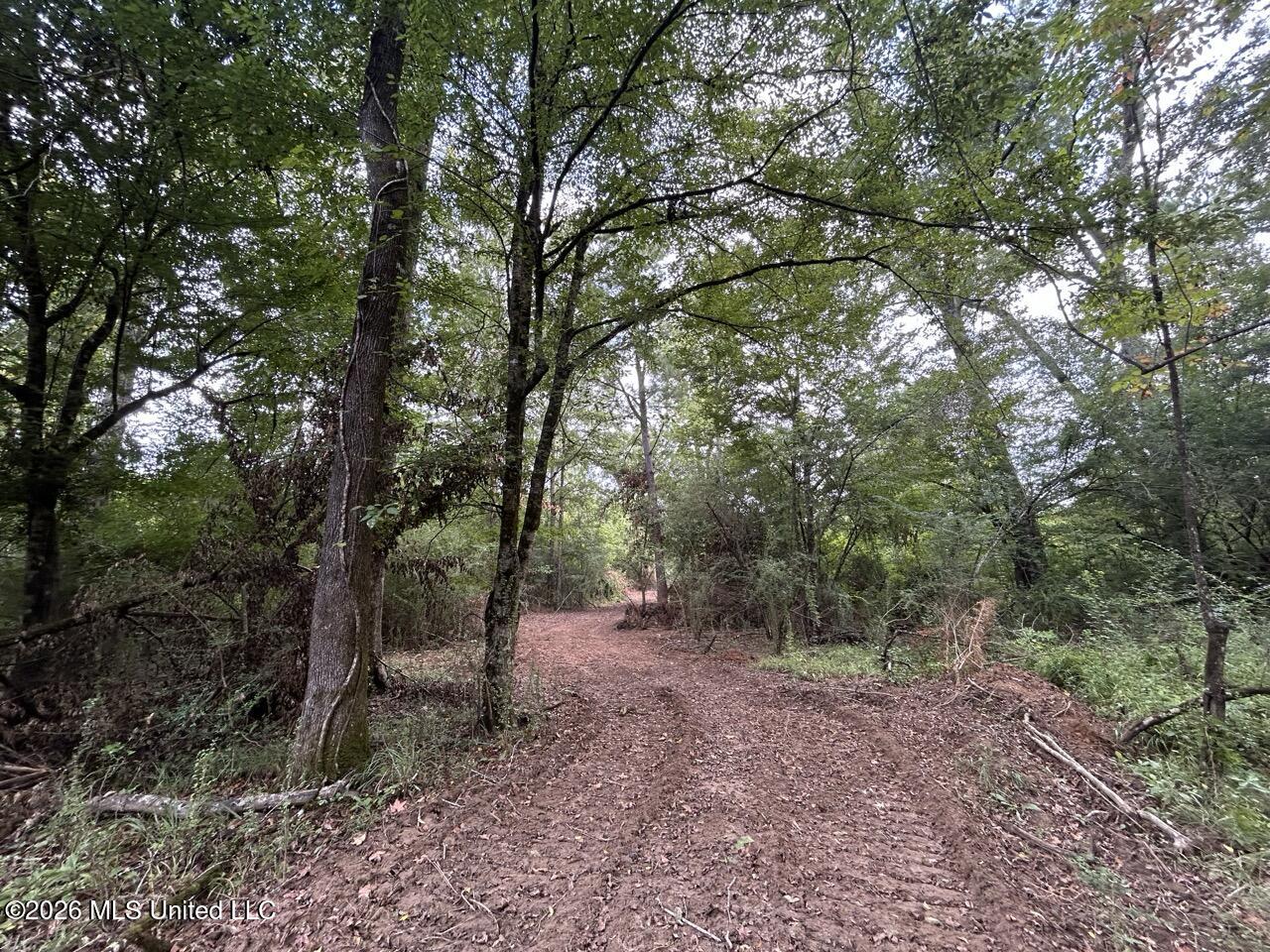 1154 Old Highway 33 Property Photo 29