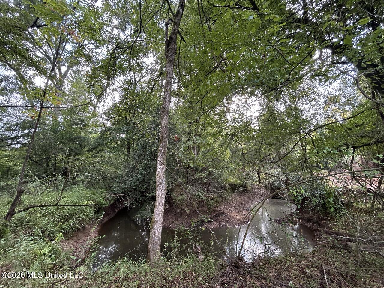 1154 Old Highway 33 Property Photo 30
