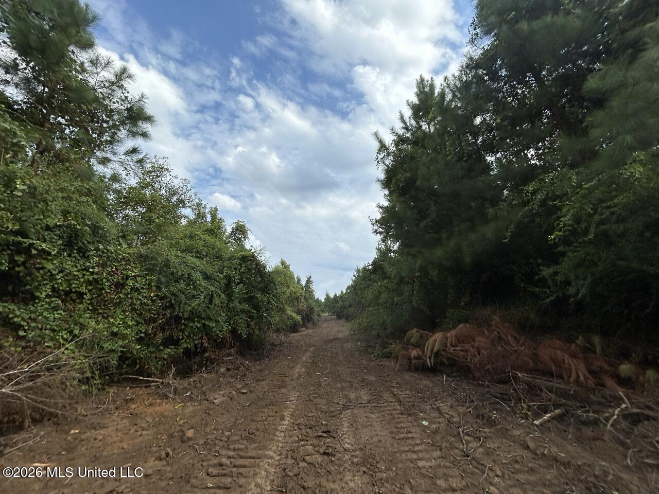 1154 Old Highway 33 Property Photo 31