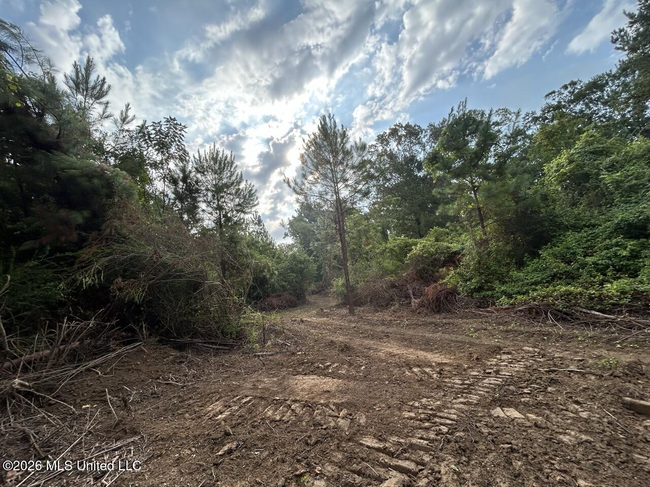 1154 Old Highway 33 Property Photo 32