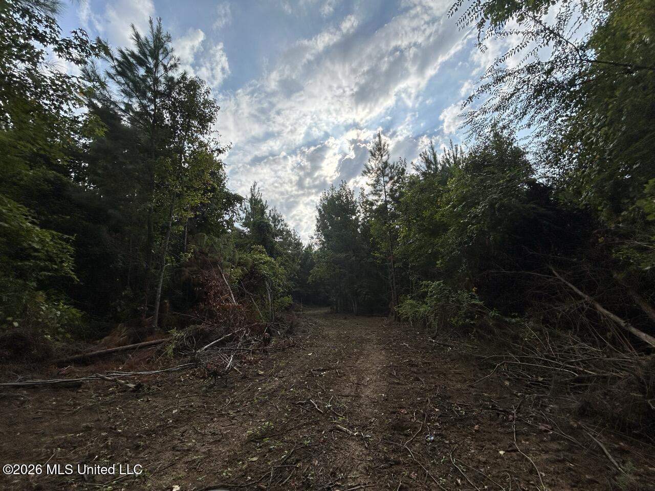 1154 Old Highway 33 Property Photo 33