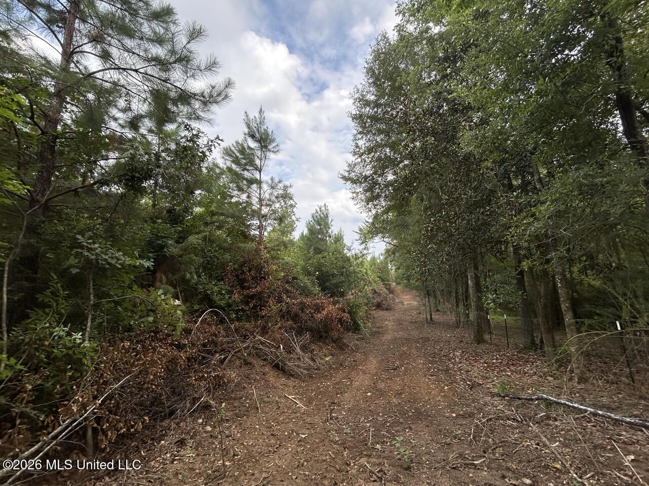1154 Old Highway 33 Property Photo 34