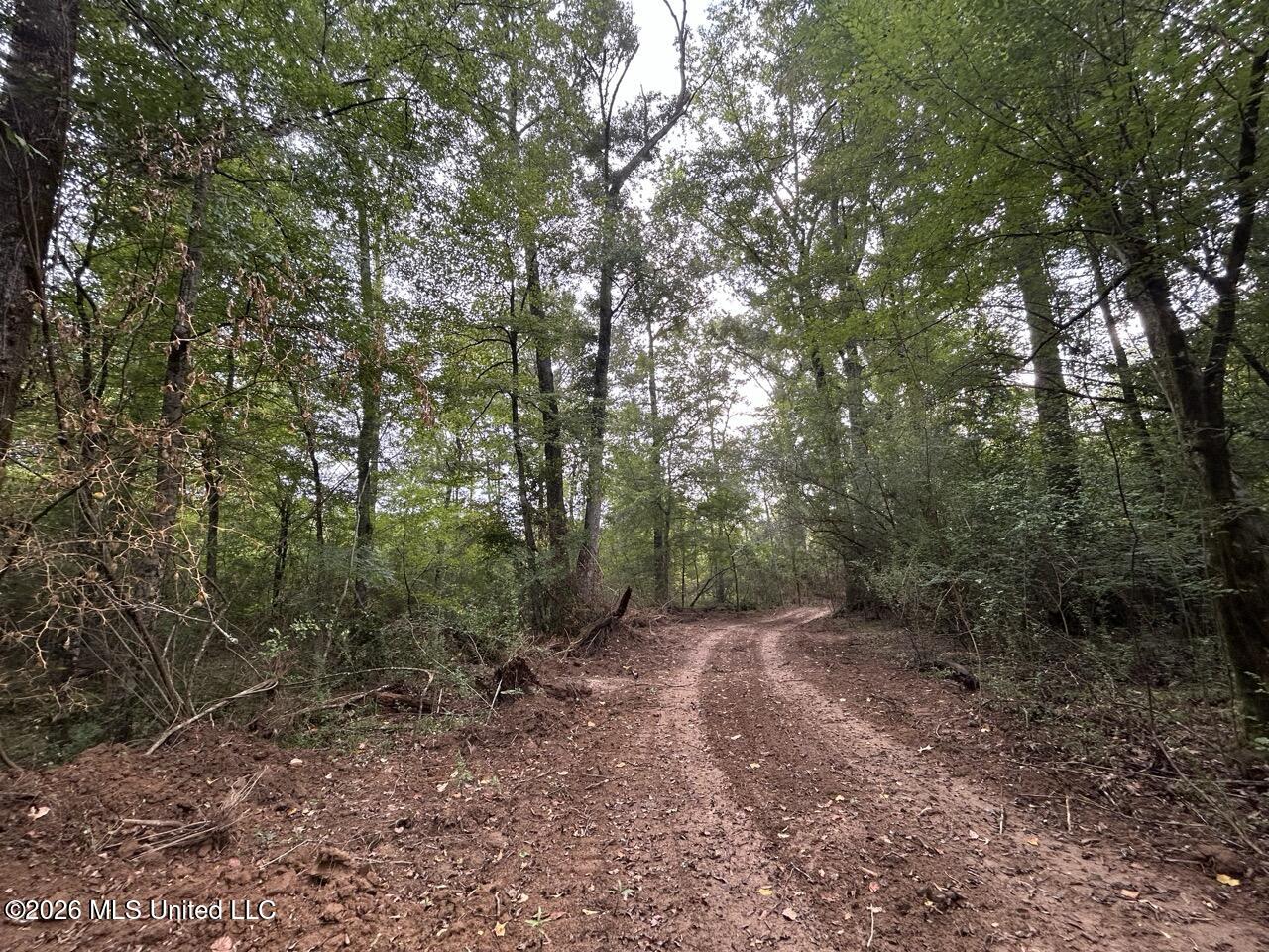 1154 Old Highway 33 Property Photo 36