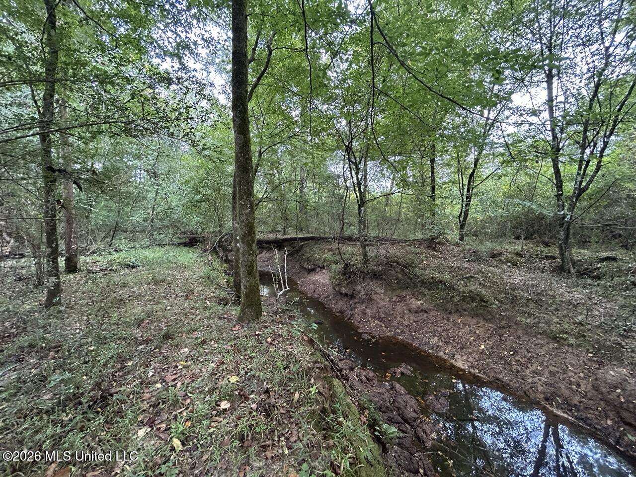 1154 Old Highway 33 Property Photo 37