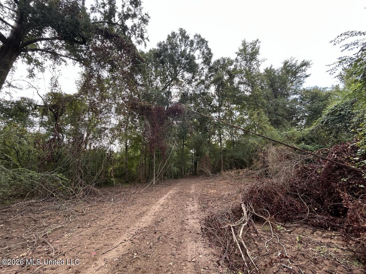 1154 Old Highway 33 Property Photo 38