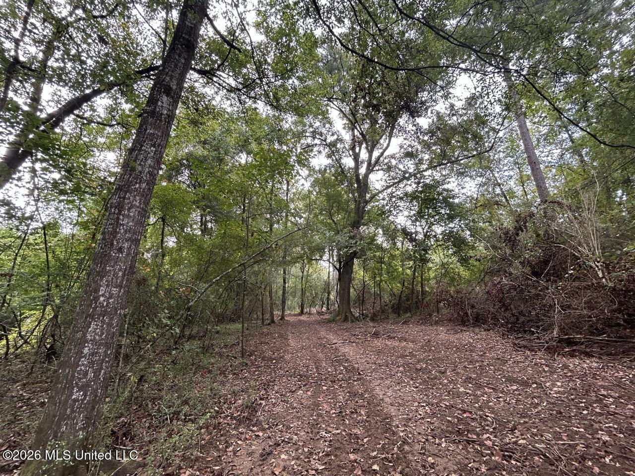 1154 Old Highway 33 Property Photo 39