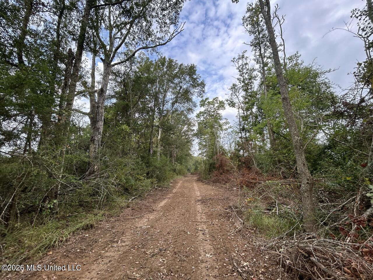 1154 Old Highway 33 Property Photo 40