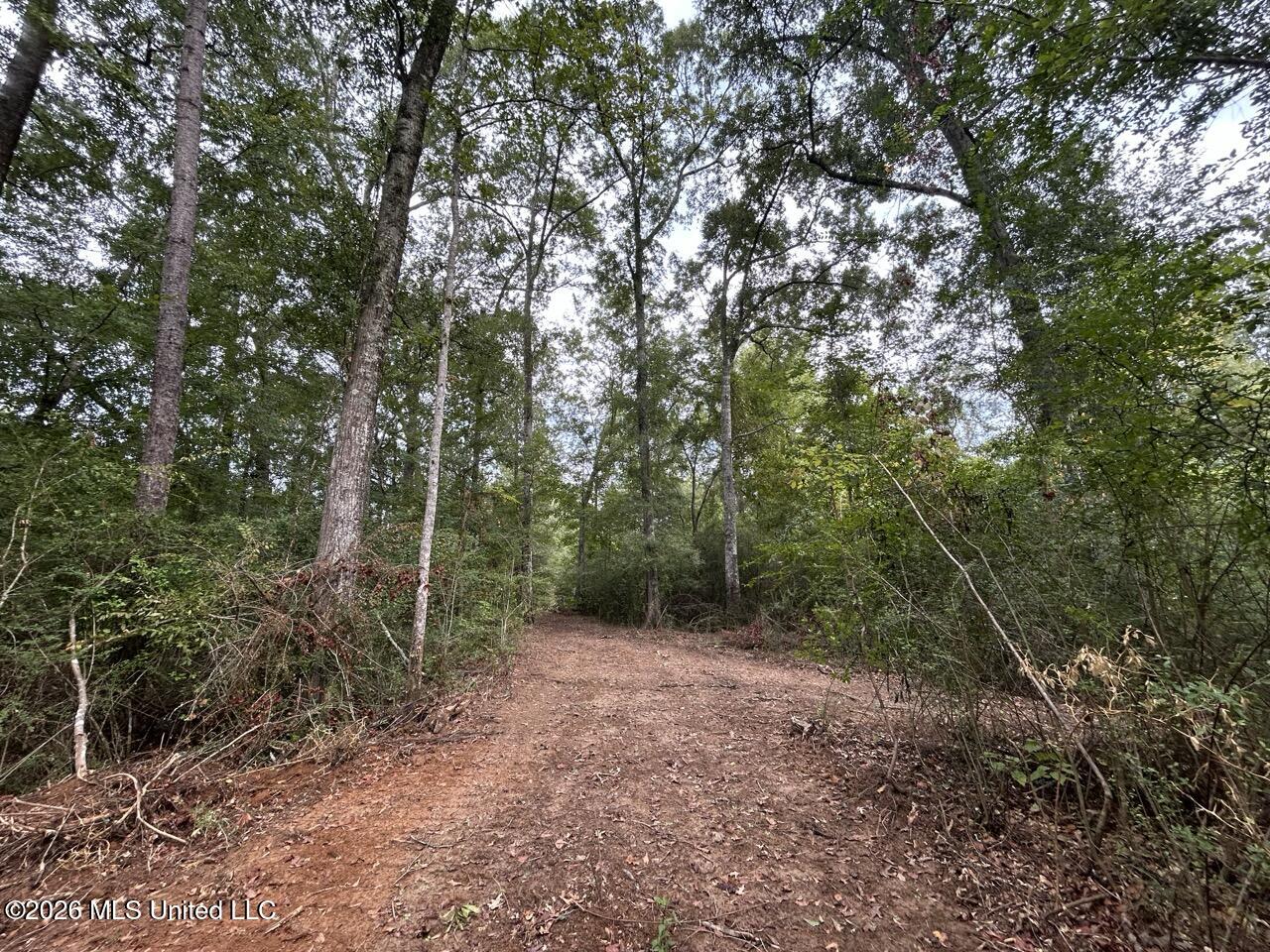1154 Old Highway 33 Property Photo 41