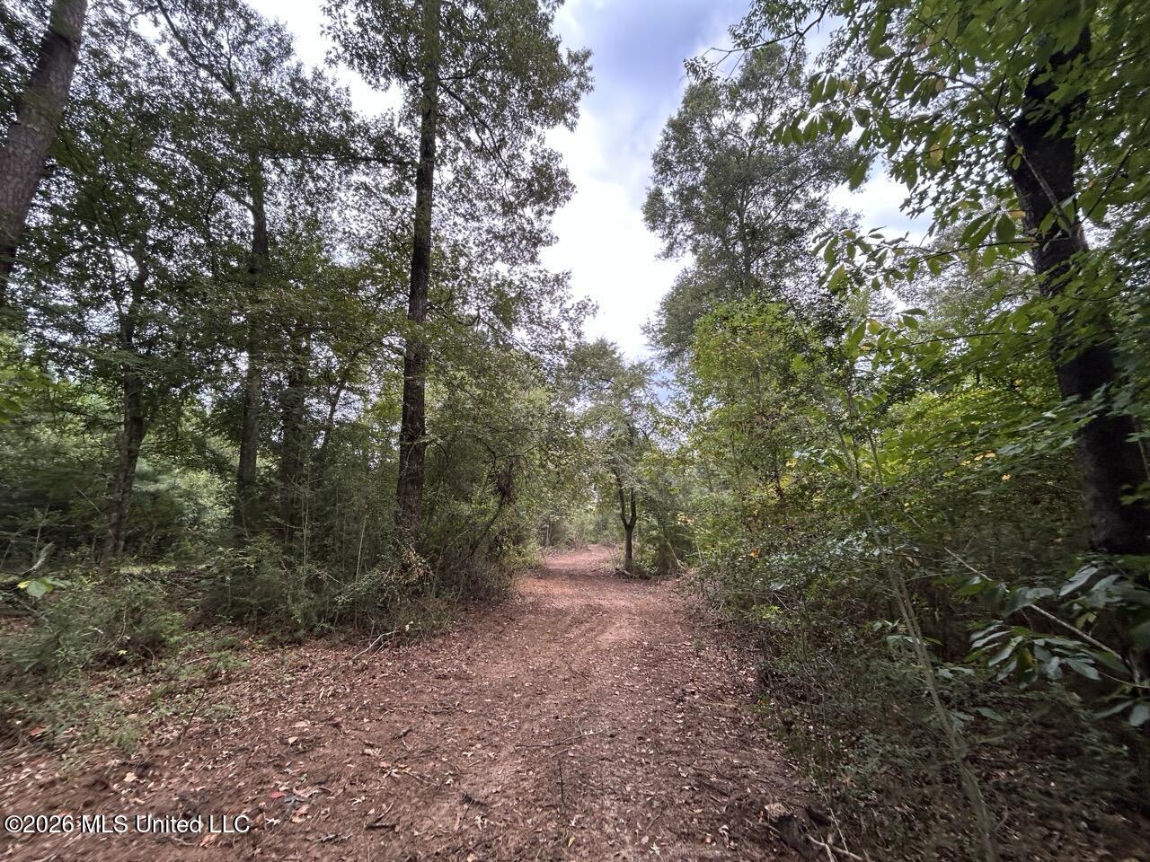 1154 Old Highway 33 Property Photo 42