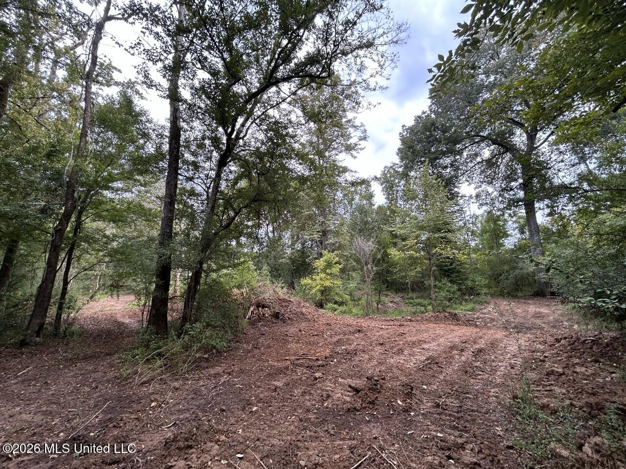 1154 Old Highway 33 Property Photo 43