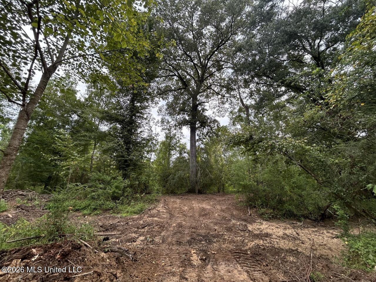 1154 Old Highway 33 Property Photo 44