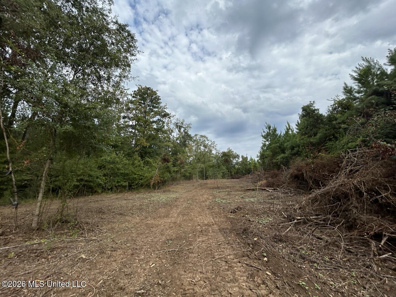 1154 Old Highway 33 Property Photo 45