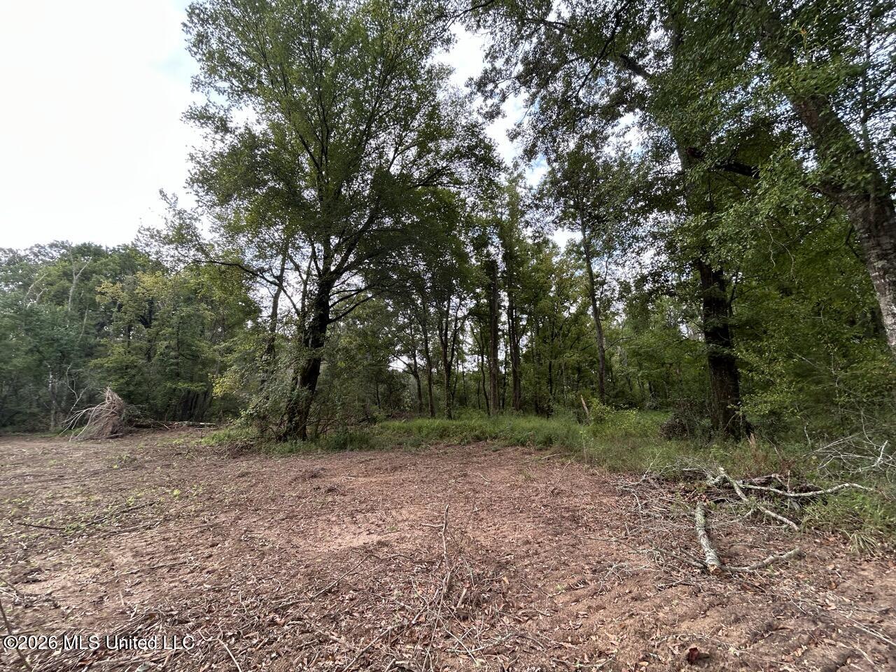 1154 Old Highway 33 Property Photo 46