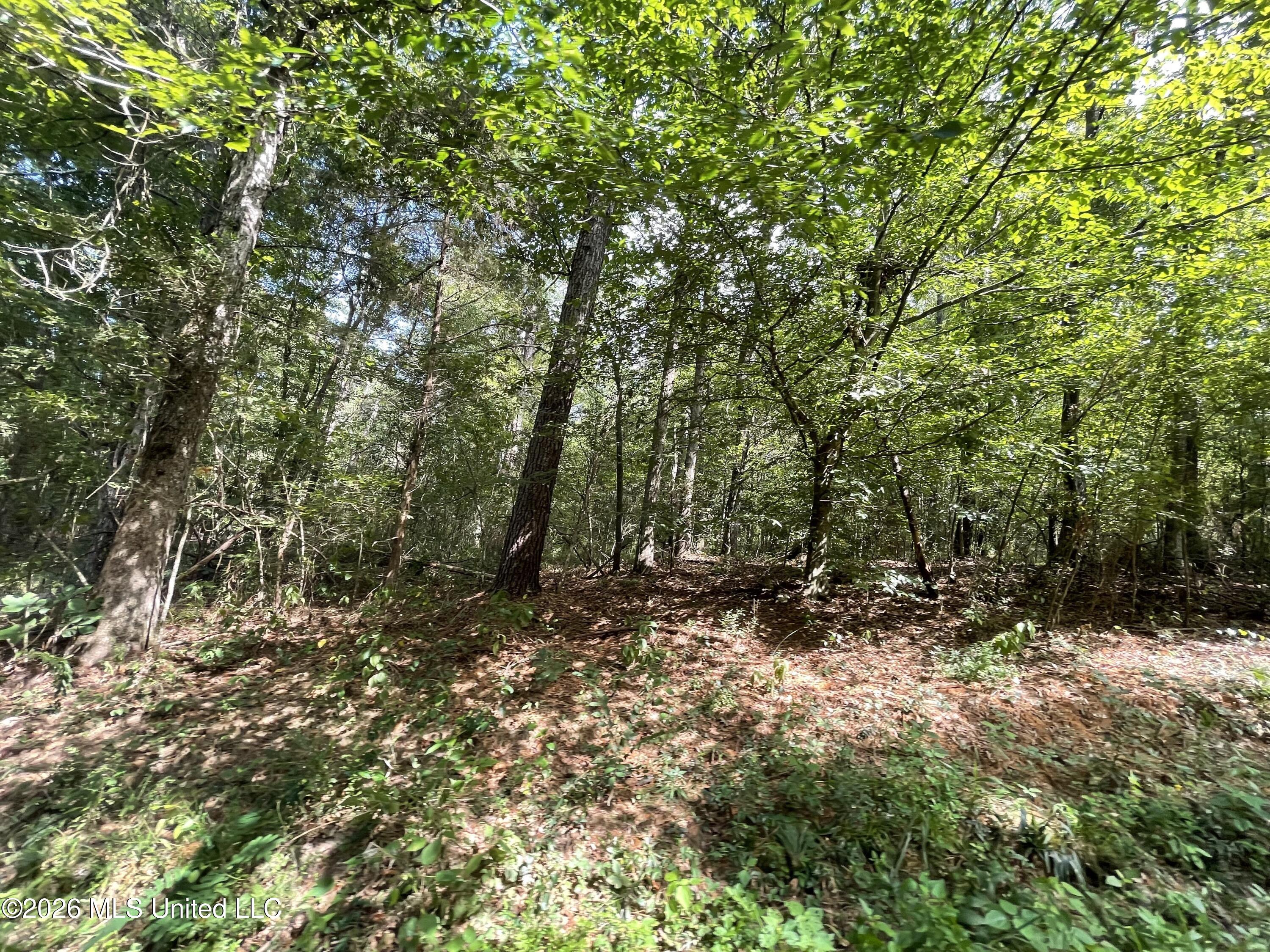 Roberts Lane Property Photo 3