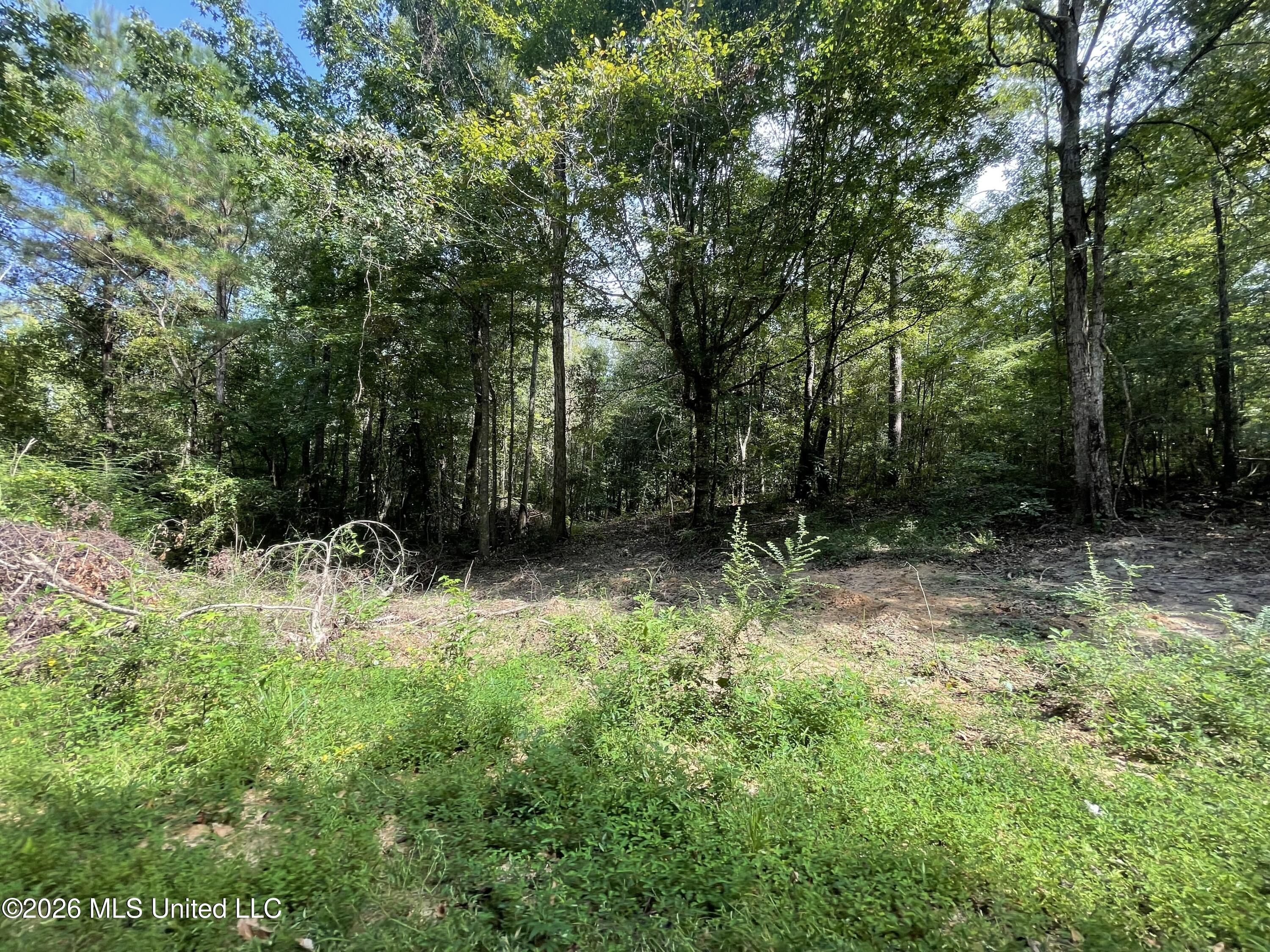 Roberts Lane Property Photo 4