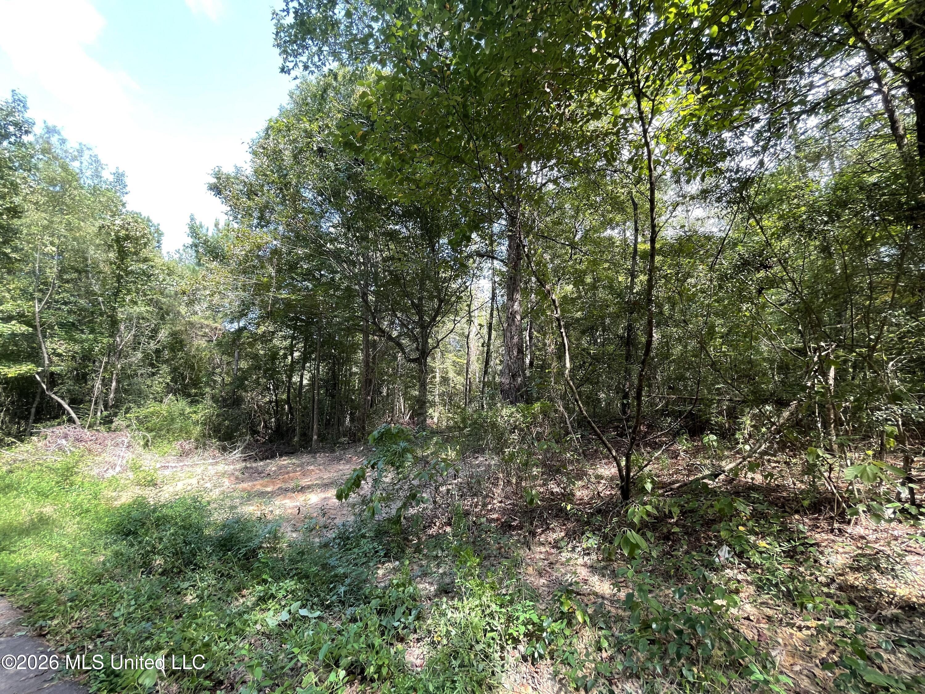Roberts Lane Property Photo 5