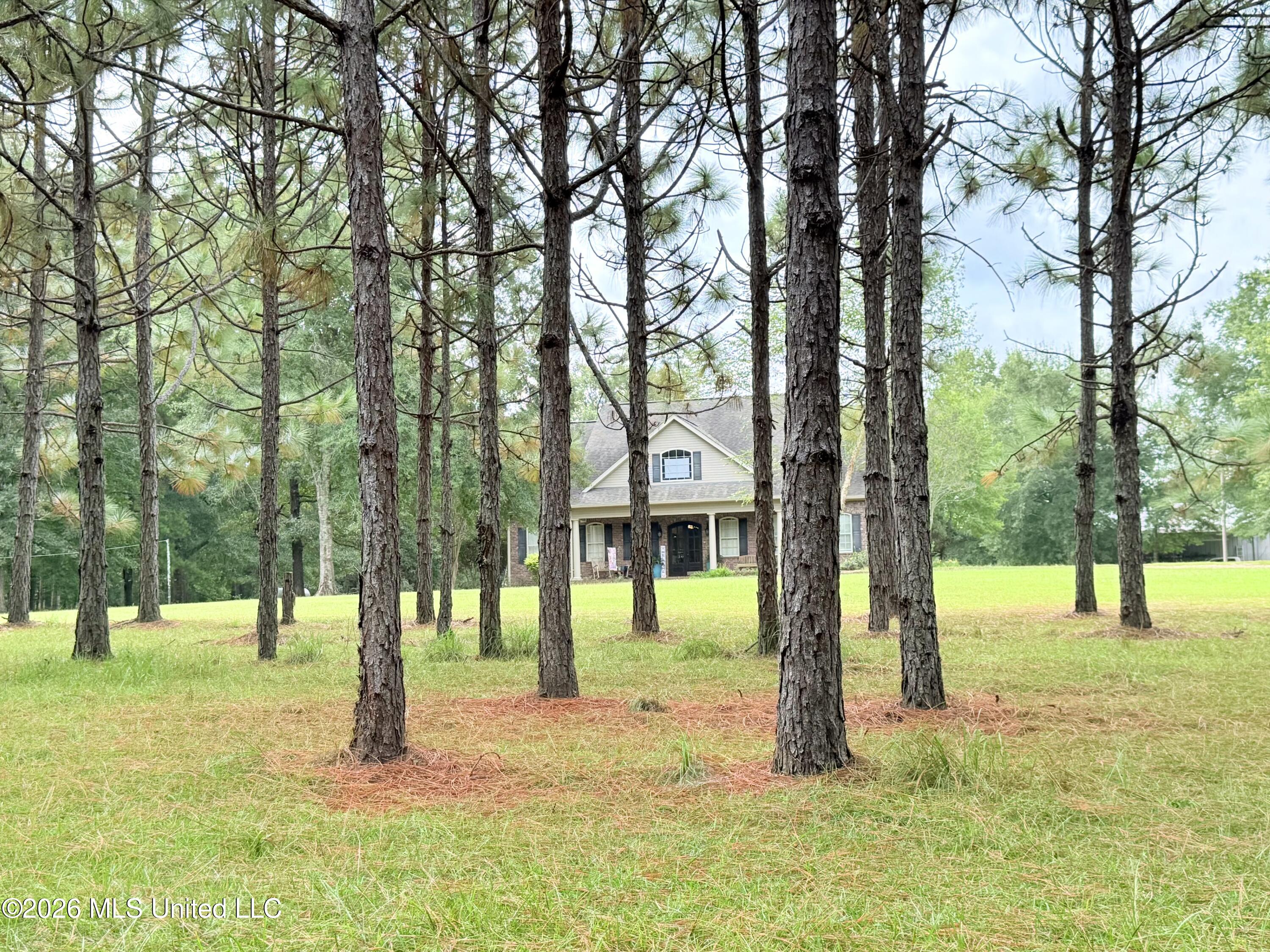 895 Montgomery Road Property Photo 49