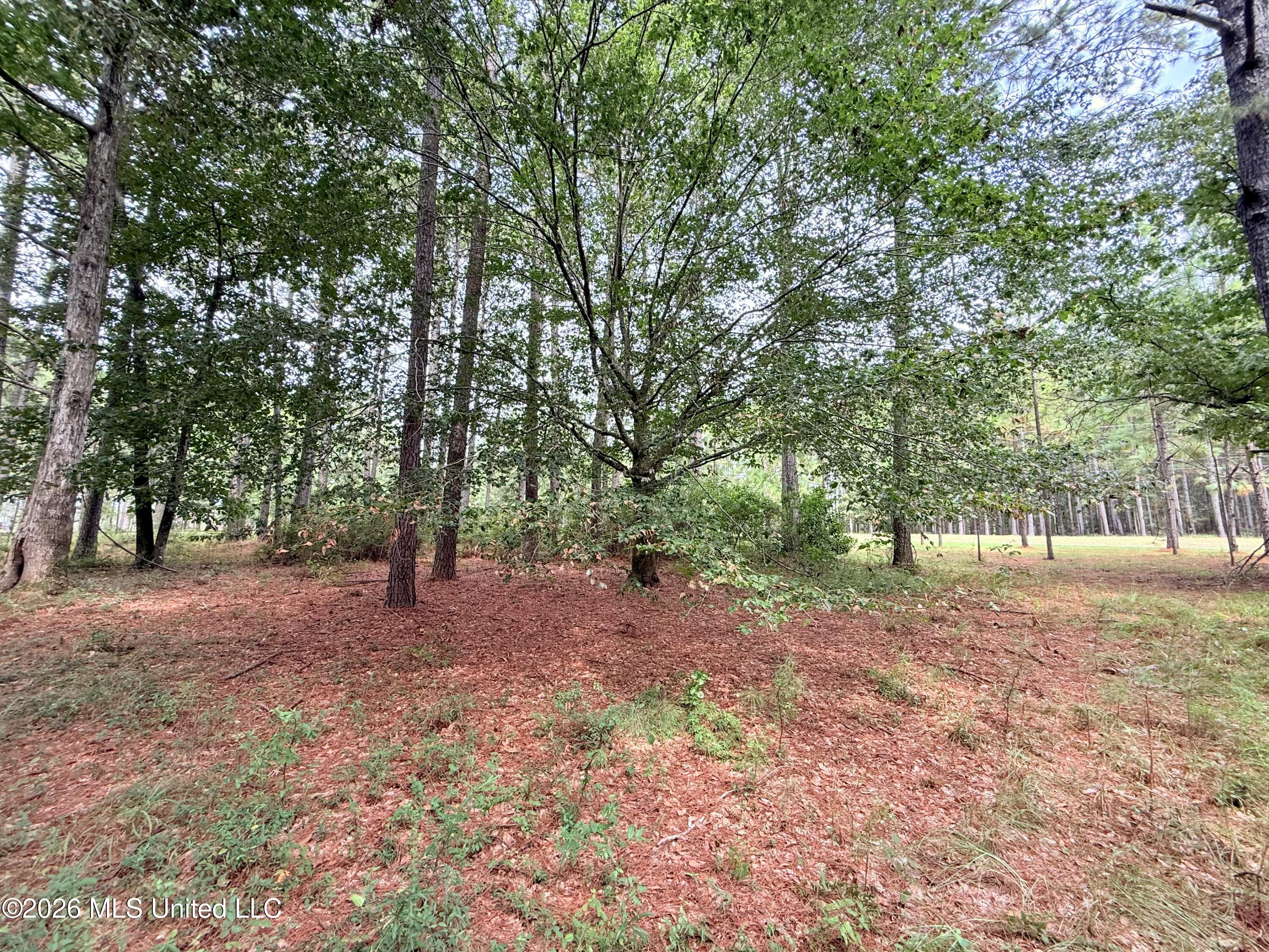 895 Montgomery Road Property Photo 51