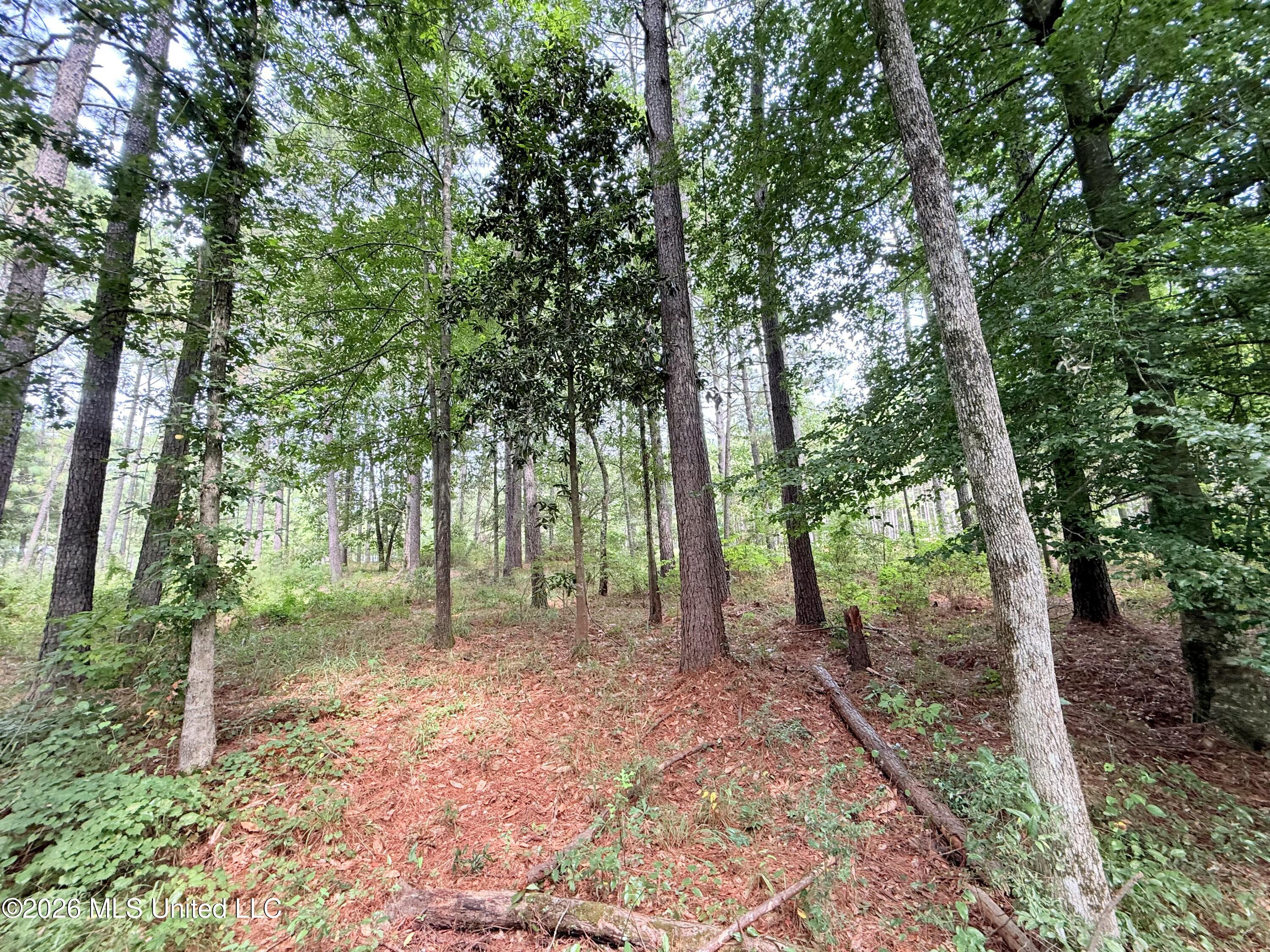 895 Montgomery Road Property Photo 52