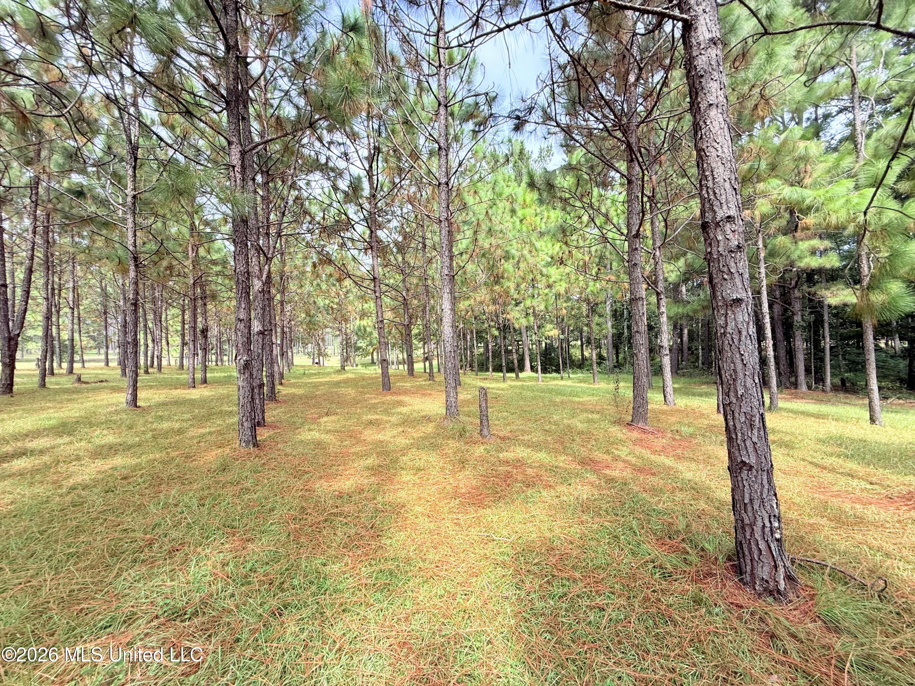 895 Montgomery Road Property Photo 53