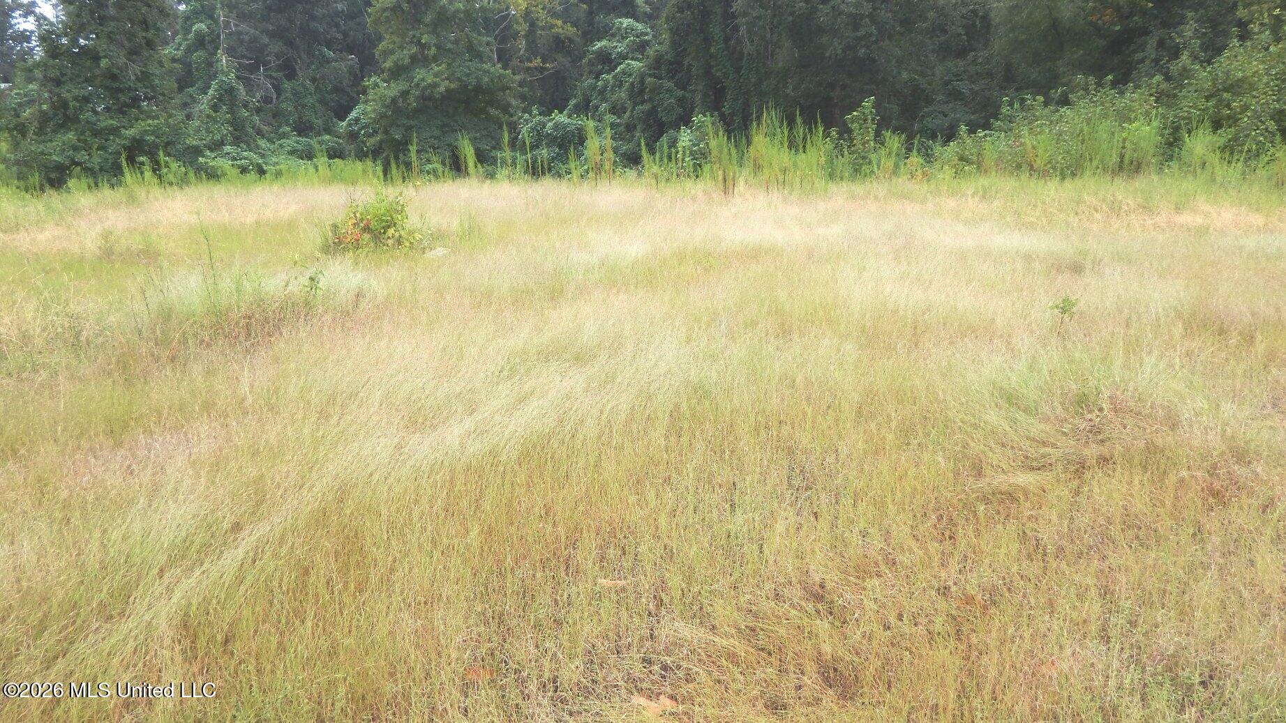 3442 Phelps Road Property Photo 1