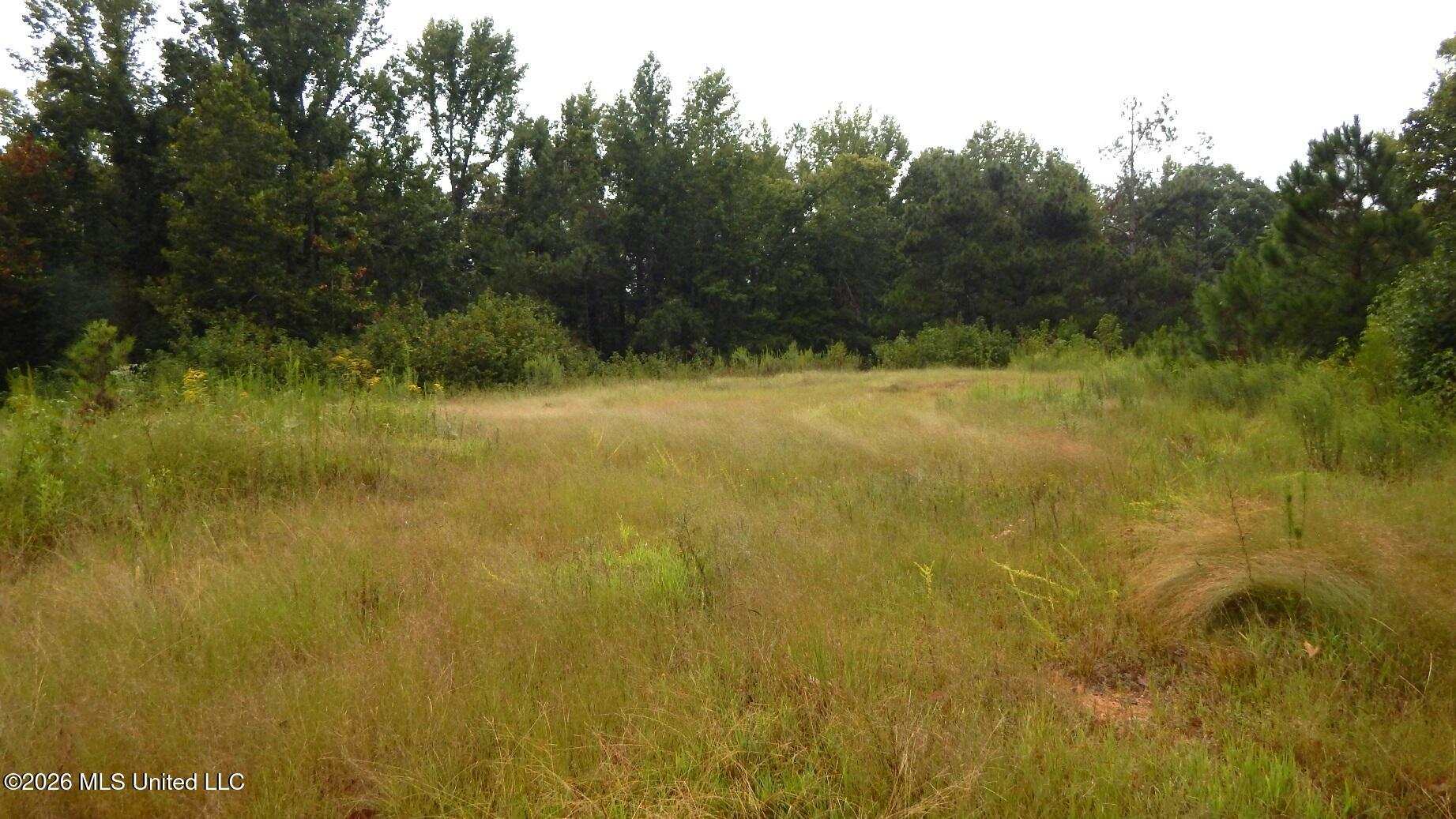 3442 Phelps Road Property Photo 3