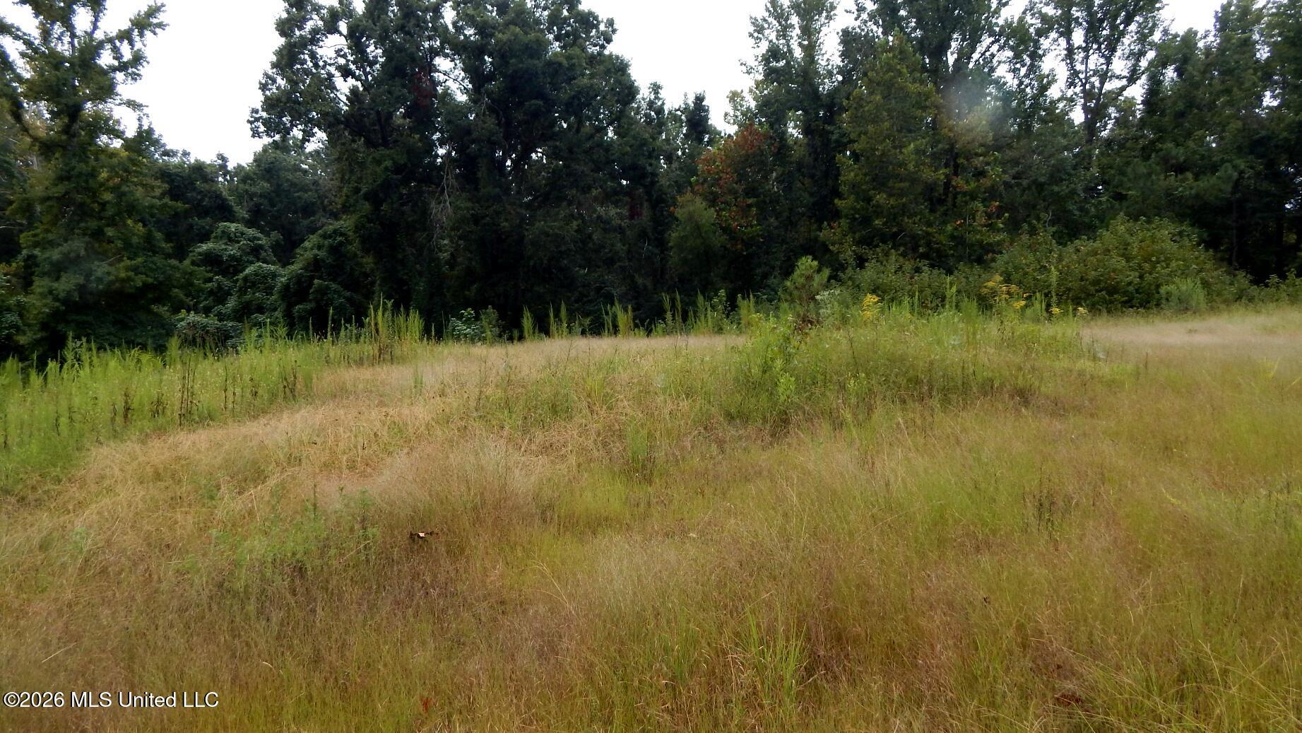 3442 Phelps Road Property Photo 4