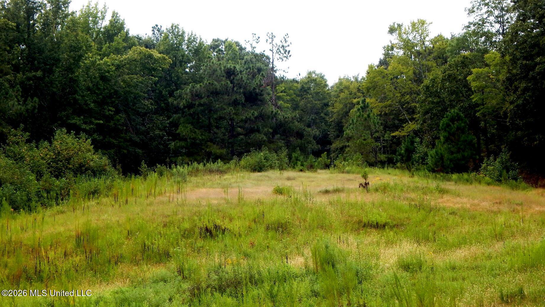 3442 Phelps Road Property Photo 7