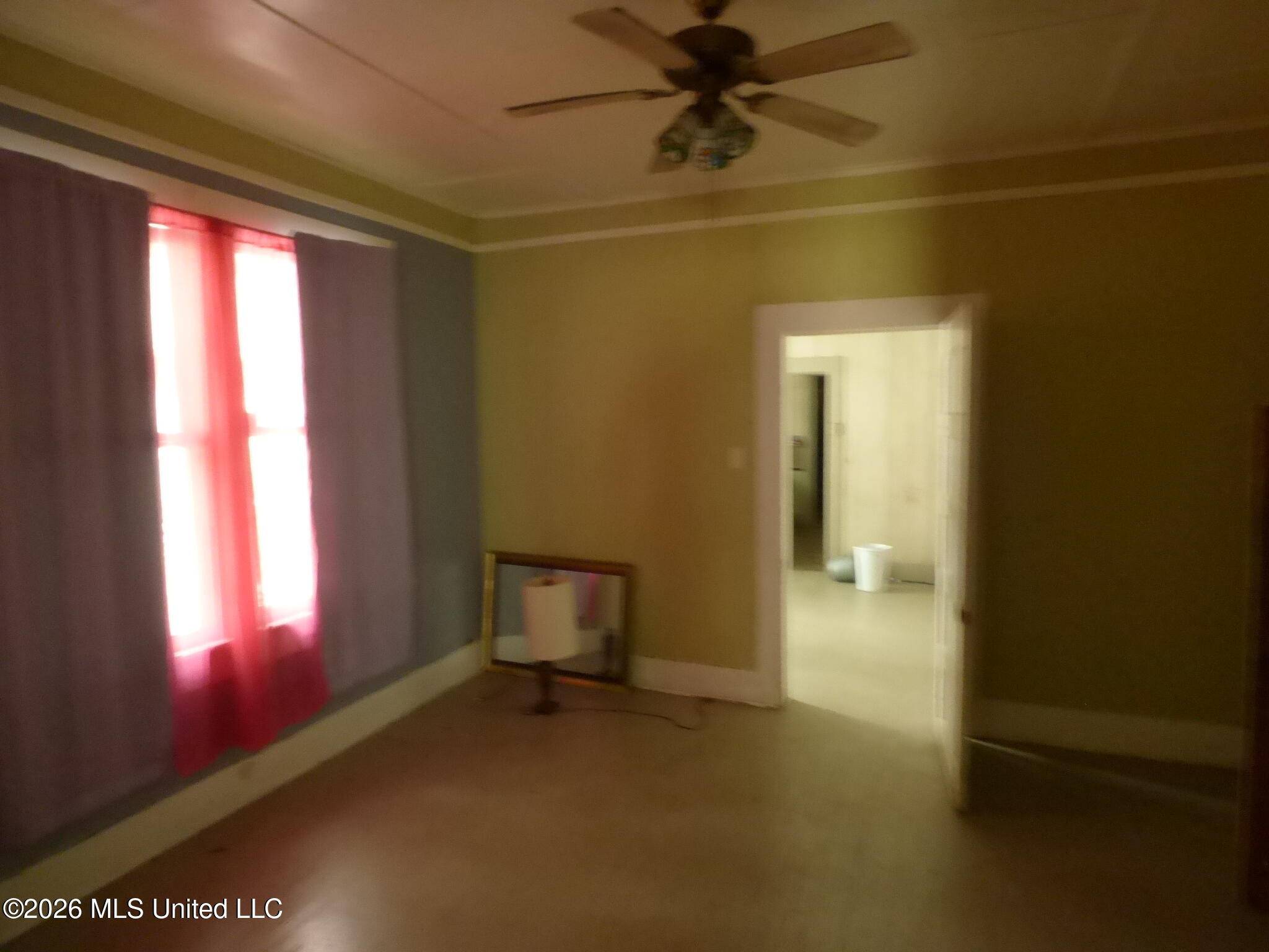 215 Thompson Street Property Photo 3