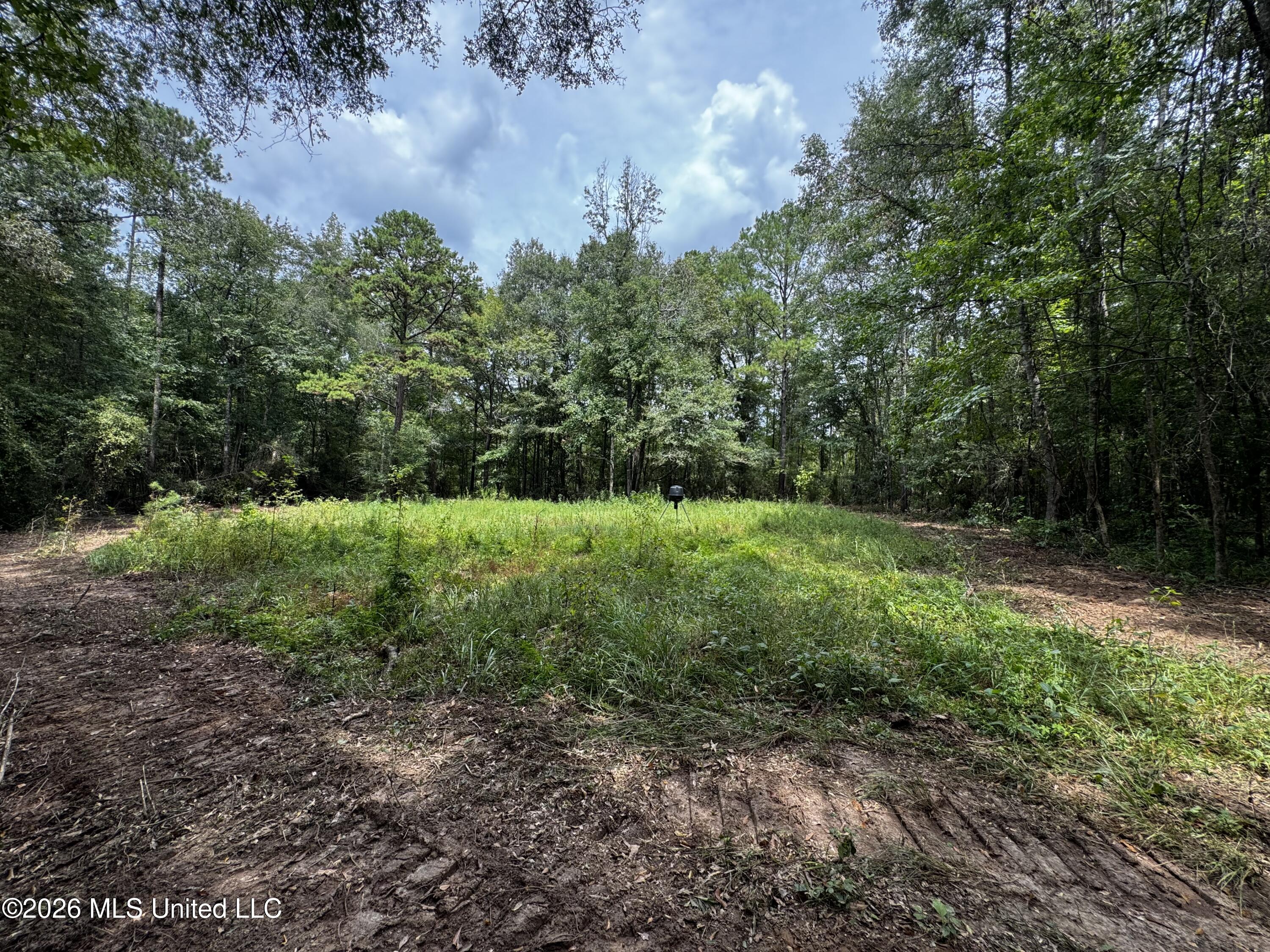 Earnest A Thompson Property Photo 1