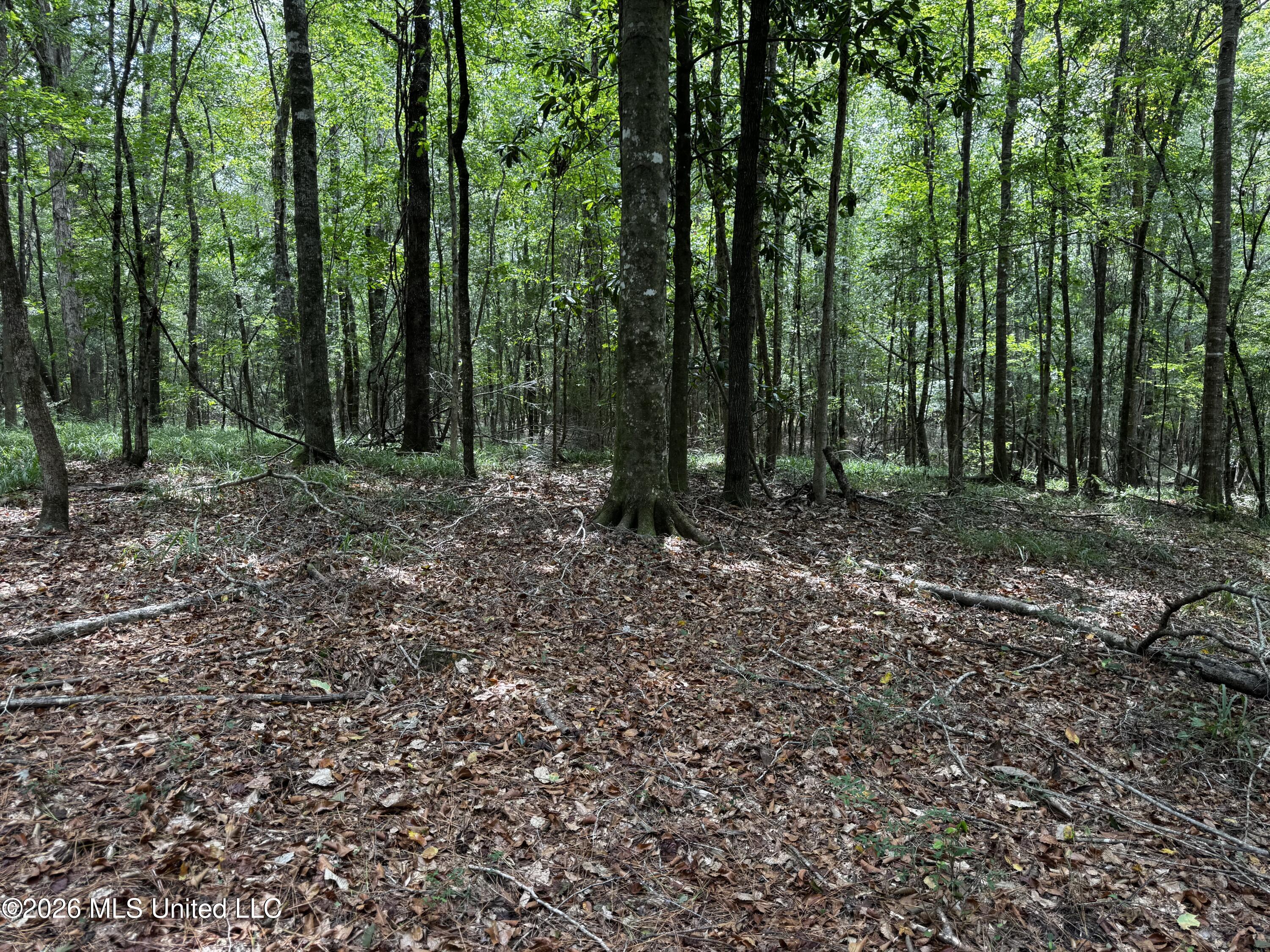 Earnest A Thompson Property Photo 4
