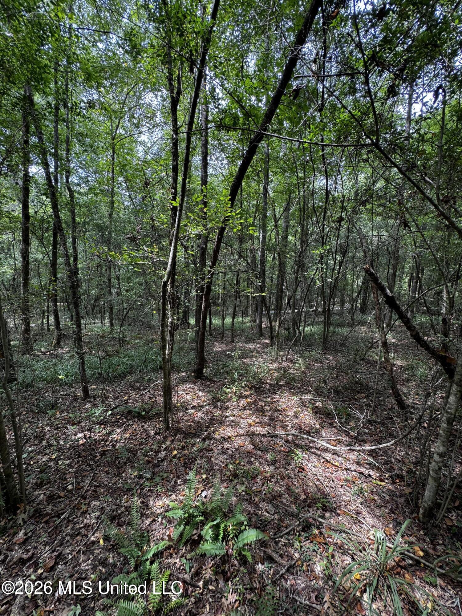 Earnest A Thompson Property Photo 5