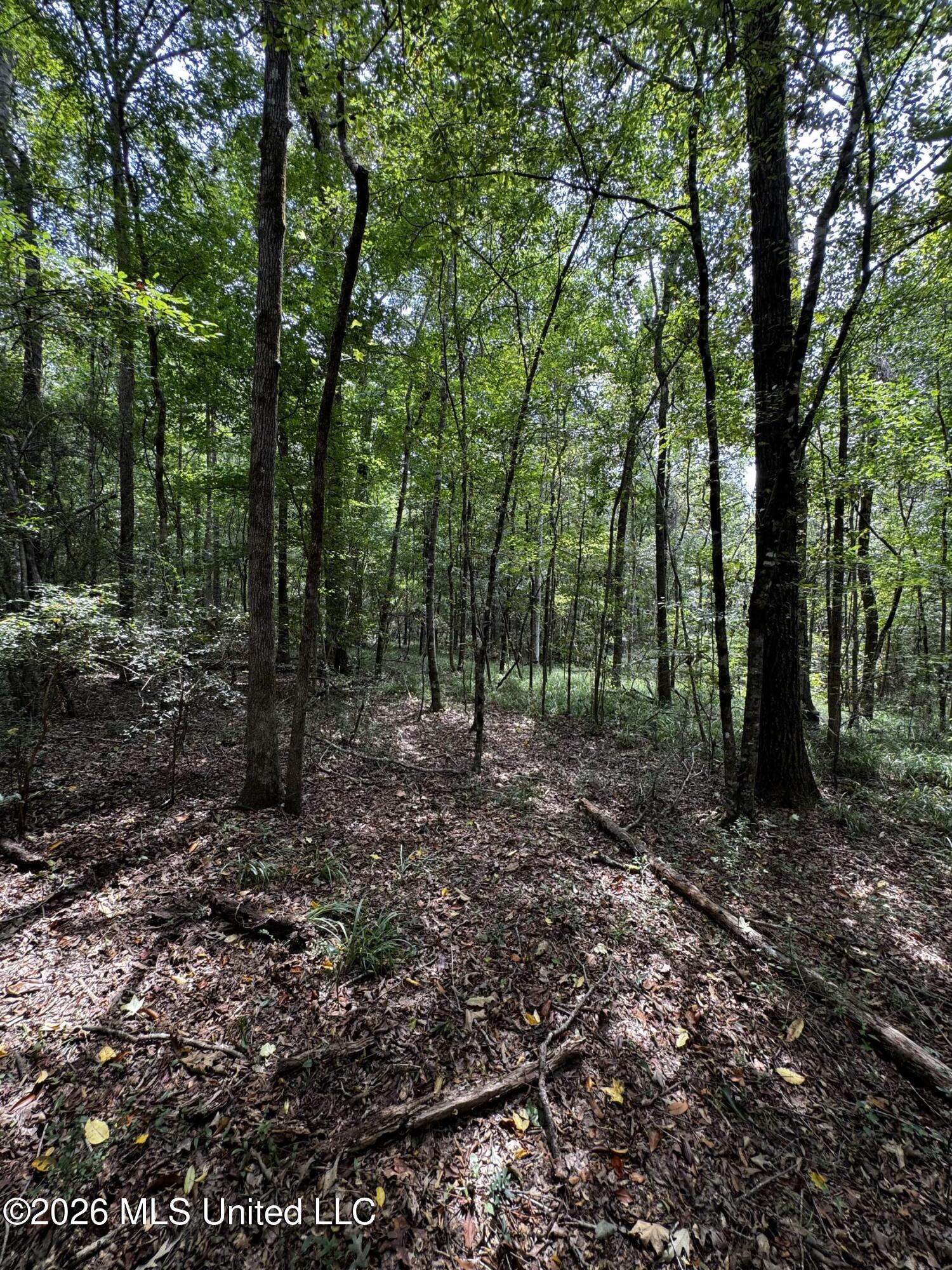 Earnest A Thompson Property Photo 6