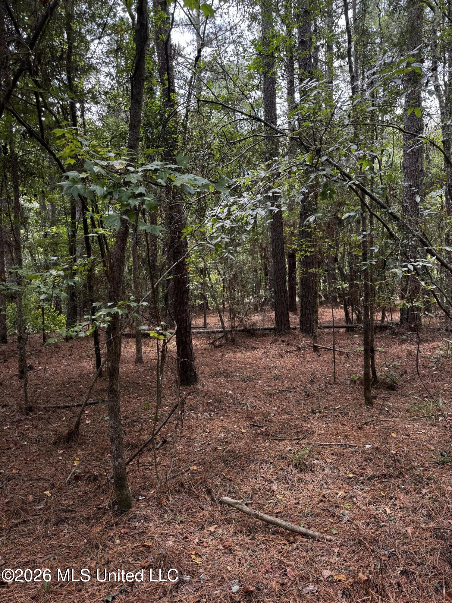 Earnest A Thompson Property Photo 16