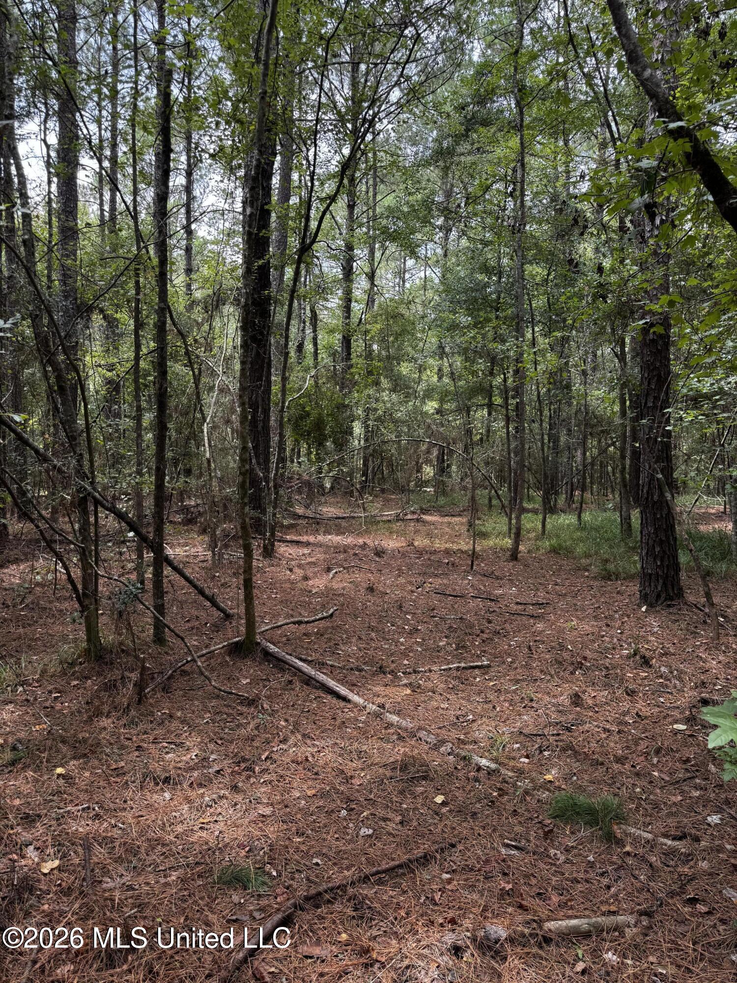 Earnest A Thompson Property Photo 21